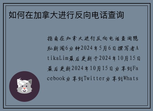 如何在加拿大进行反向电话查询 
